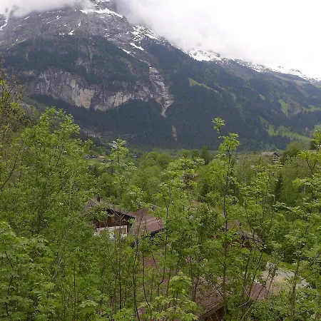 Alpesi faház Egg-isch By Interhome Grindelwald