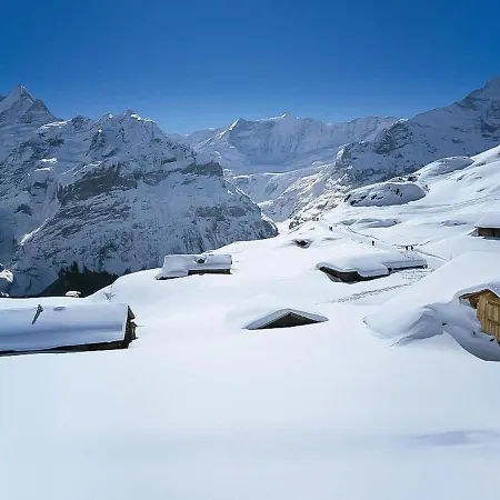 Alpesi faház Egg-isch By Interhome Grindelwald